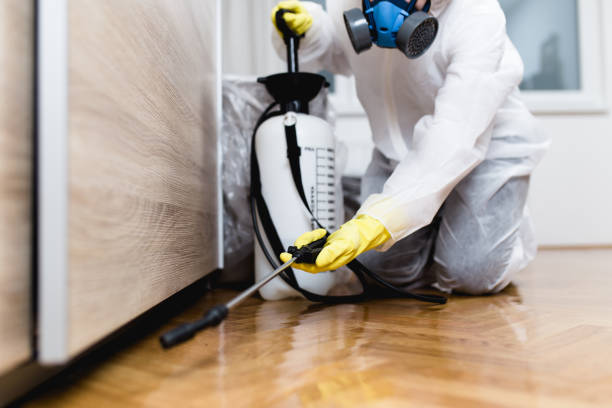 Best Pest Control for Restaurants  in Nichols Hills, OK