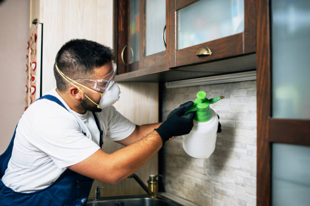 Best Wasp Removal Services  in Nichols Hills, OK