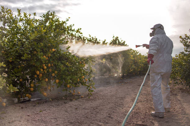 Insect Control in Nichols Hills, OK