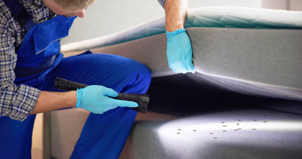 Best Affordable Pest Control Services  in Nichols Hills, OK