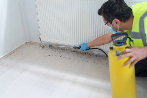 Best Pest Inspection Near Me  in Nichols Hills, OK